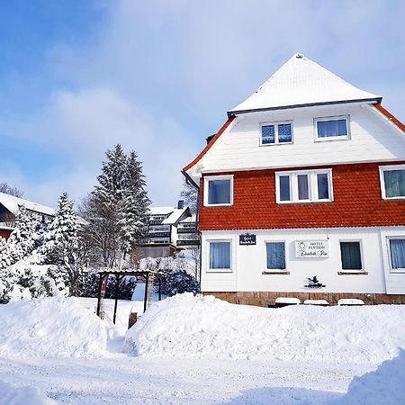 Hotel Elisabeth-Ilse Braunlage Bagian luar foto