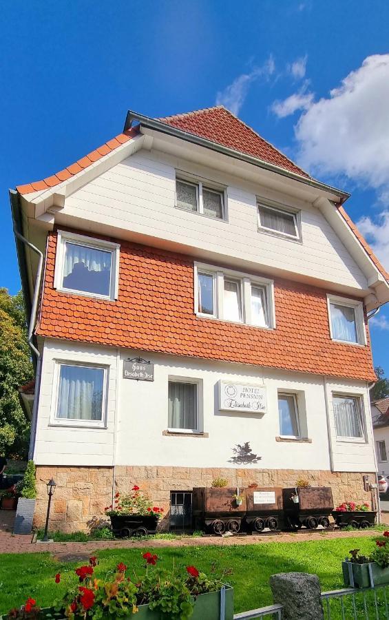 Hotel Elisabeth-Ilse Braunlage Bagian luar foto