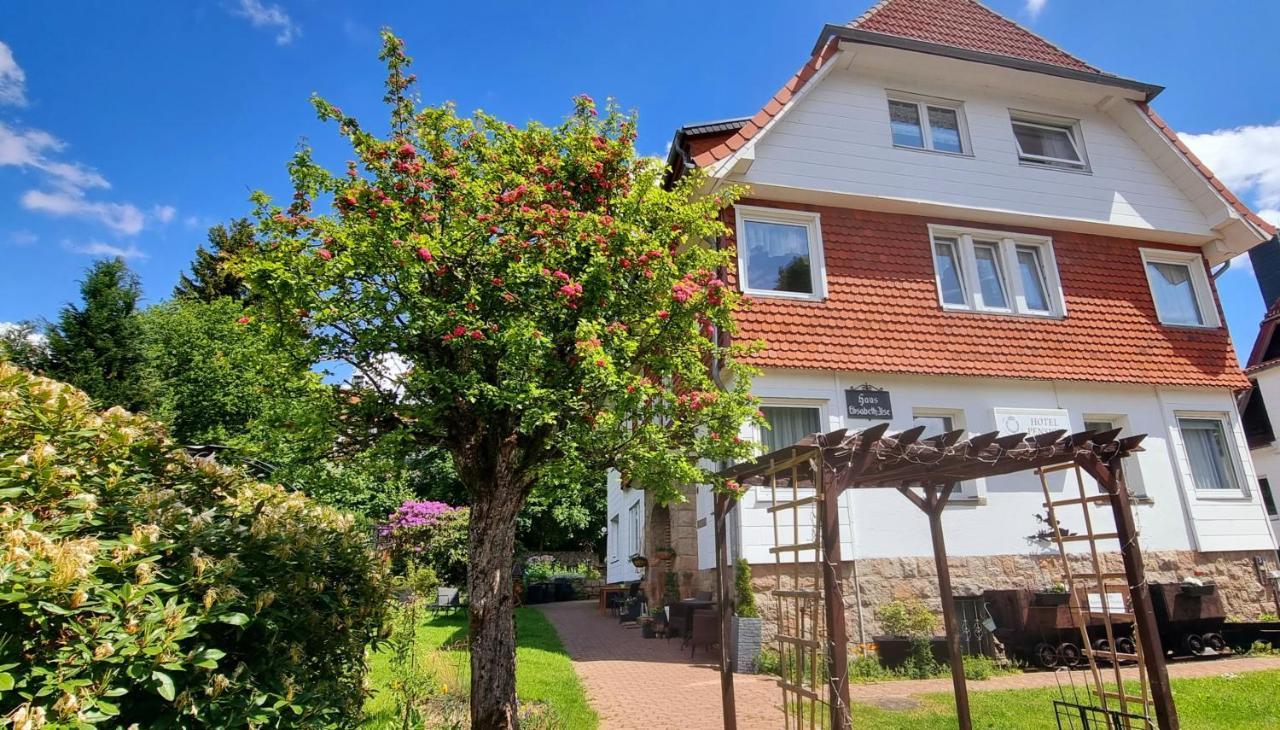 Hotel Elisabeth-Ilse Braunlage Bagian luar foto
